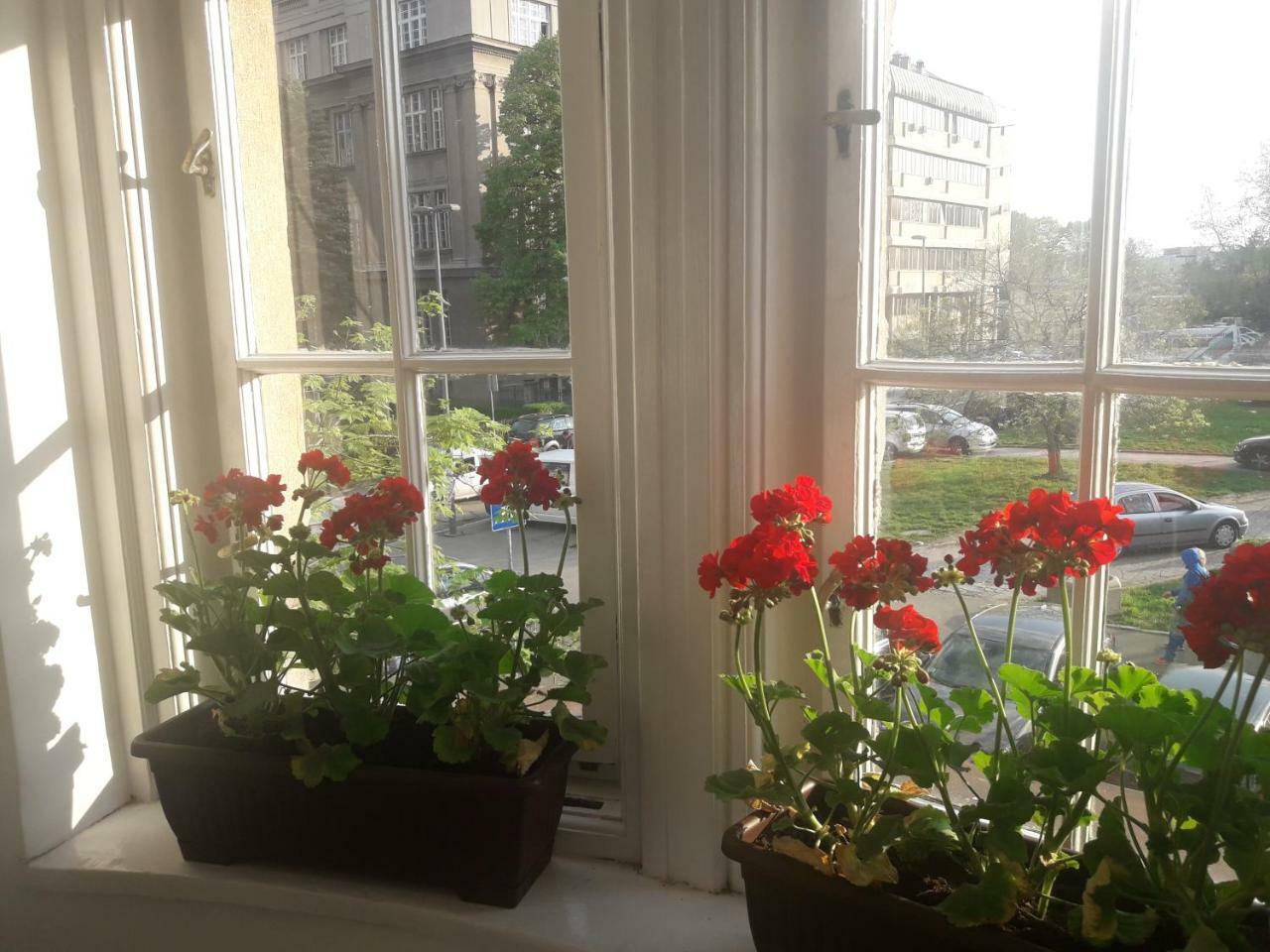 Apartment Hana Lux Belgrad Exterior foto